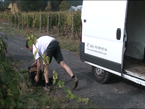 Carga cajas furgoneta