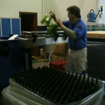 Alimentacion botellas 1