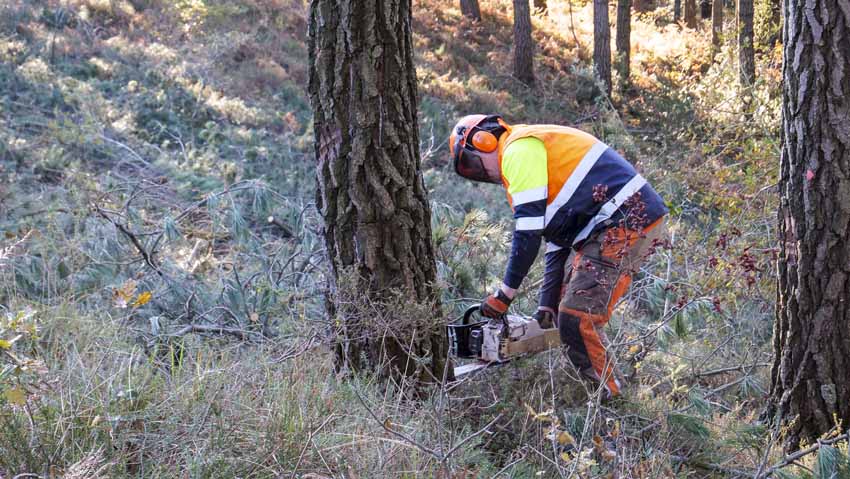 Prevención siniestralidad forestal