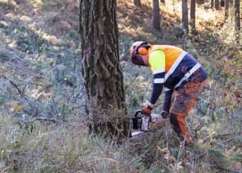 JOSELURE PHOTOGRAPHY Prevención siniestralidad forestal